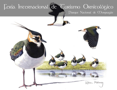 FIO – 2022 Mayor Birding Event in Extremadura