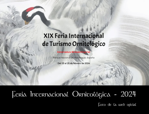 Feria Internacional FIO – 2024